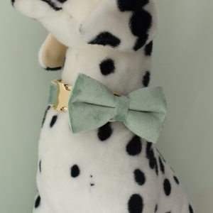 013 Light Green Velvet Dog Flower Collar and Lead Set (5)