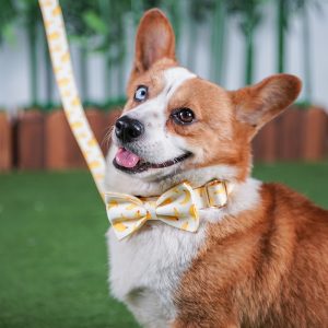  Yellow Banana DOg Bow Tie Collar and Leash Set (17)