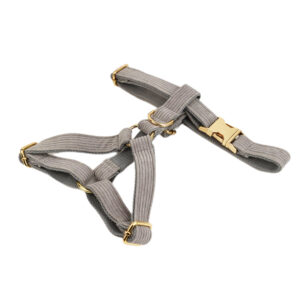 DCA101 Gray Cordurory Dog Bow tie collar 20 → AmazpetSupplies.com DCA101 Gray Cordurory Dog Bow tie collar 20
