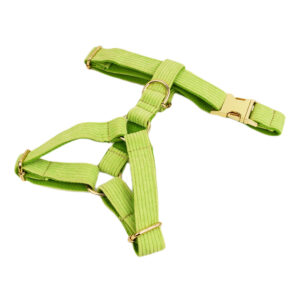 DCA105 Kelly Green Corduory Dog Collar set 11 → AmazpetSupplies.com DCA105 Kelly Green Corduory Dog Collar set 11