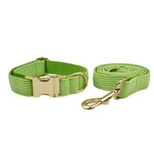 DCA105 Kelly Green Corduory Dog Collar set 21 → AmazpetSupplies.com DCA105 Kelly Green Corduory Dog Collar set 21