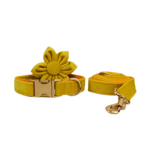 DCA119 Yellow Velvet Dog Collar set 13 → AmazpetSupplies.com DCA119 Yellow Velvet Dog Collar set 13