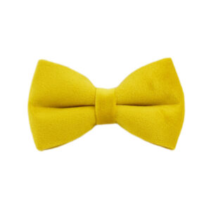 DCA119 Yellow Velvet Dog Collar set 20 → AmazpetSupplies.com DCA119 Yellow Velvet Dog Collar set 20