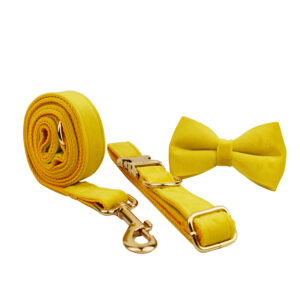 DCA119 Yellow Velvet Dog Collar set 4 → AmazpetSupplies.com DCA119 Yellow Velvet Dog Collar set 4