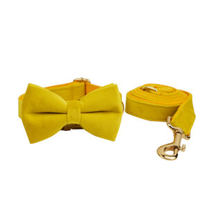 DCA119 Yellow Velvet Dog Collar set 5 → AmazpetSupplies.com DCA119 Yellow Velvet Dog Collar set 5