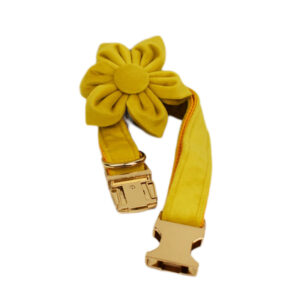 DCA119 Yellow Velvet Dog Collar with flower 4 → AmazpetSupplies.com DCA119 Yellow Velvet Dog Collar with flower 4