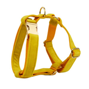 DCA119 Yellow Velvet Dog Harness set 4 → AmazpetSupplies.com DCA119 Yellow Velvet Dog Harness set 4