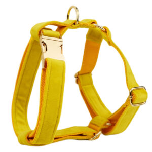 DCA119 Yellow Velvet Dog Harness set 7 → AmazpetSupplies.com DCA119 Yellow Velvet Dog Harness set 7