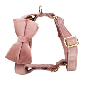 DCA120 Amaranth Pink Dog Collar set 19 → AmazpetSupplies.com DCA120 Amaranth Pink Dog Collar set 19