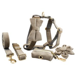 DCA126 Tortilla Brown Velvet Dog Collar Leash and Harness Set 1 → AmazpetSupplies.com DCA126 Tortilla Brown Velvet Dog Collar Leash and Harness Set 1