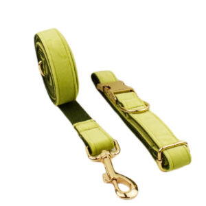 DCA148 Lime Green Velvet Dog Collar Leash and Harness set 19 → AmazpetSupplies.com DCA148 Lime Green Velvet Dog Collar Leash and Harness set 19