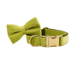 DCA148 Lime Green Velvet Dog Collar Leash and Harness set 20 → AmazpetSupplies.com DCA148 Lime Green Velvet Dog Collar Leash and Harness set 20