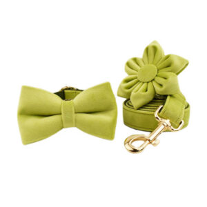 DCA148 Lime Green Velvet Dog Collar Leash and Harness set 23 → AmazpetSupplies.com DCA148 Lime Green Velvet Dog Collar Leash and Harness set 23