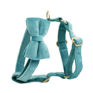 DCA151 Olympic Blue Dog Collar leash and harness set 28 → AmazpetSupplies.com DCA151 Olympic Blue Dog Collar leash and harness set 28