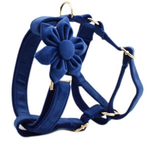 DCA155 Navy Blue velet dog harness 1 → AmazpetSupplies.com DCA155 Navy Blue velet dog harness 1