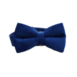 DCA155 Navy Blue velet dog harness 10 → AmazpetSupplies.com DCA155 Navy Blue velet dog harness 10